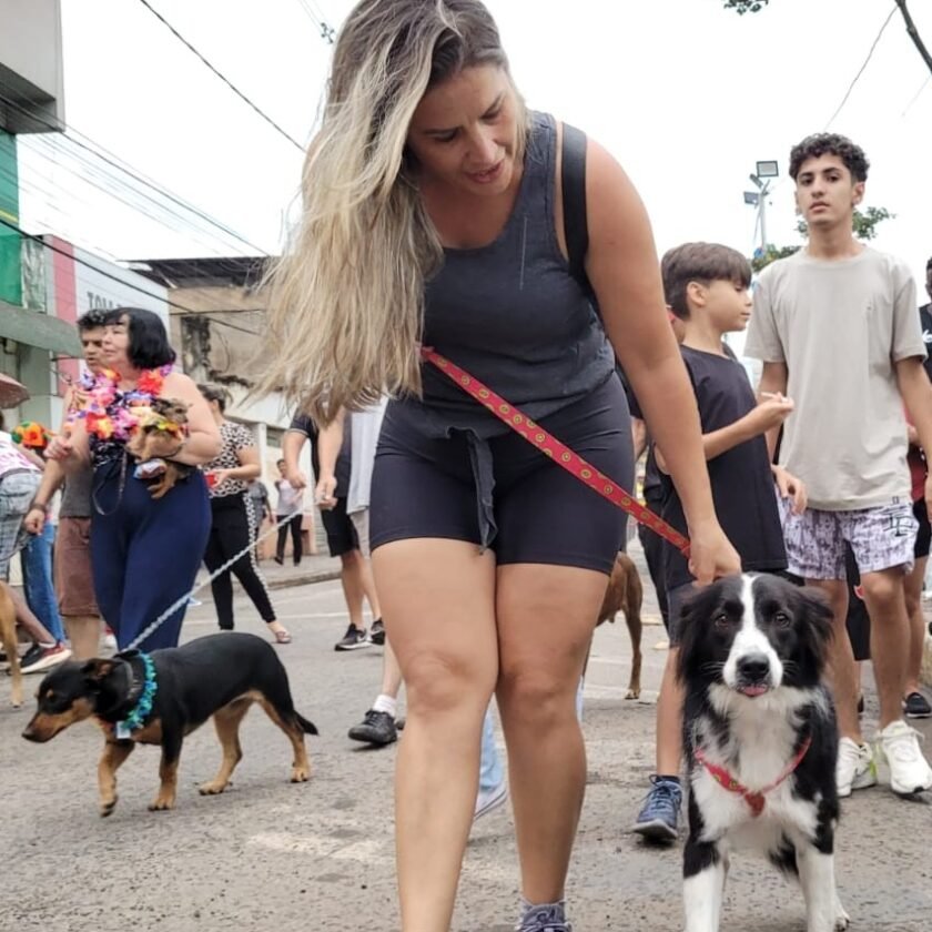 Fofura: carnaval em Congonhas teve bloco especial para pets