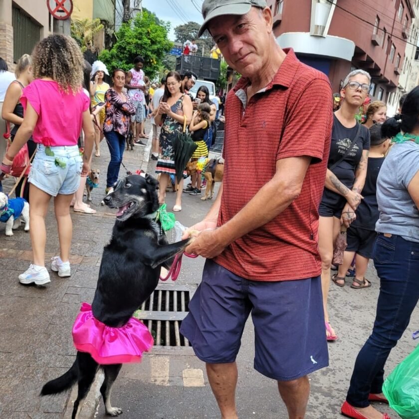 Fofura: carnaval em Congonhas teve bloco especial para pets