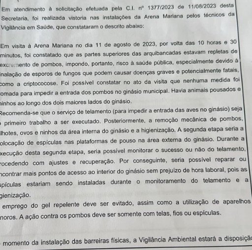 Infestação de pombos gera o cancelamento de festival sertanejo em Mariana