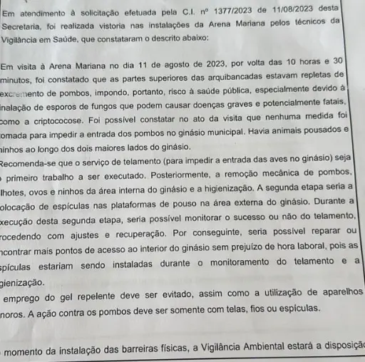 Infestação de pombos gera o cancelamento de festival sertanejo em Mariana
