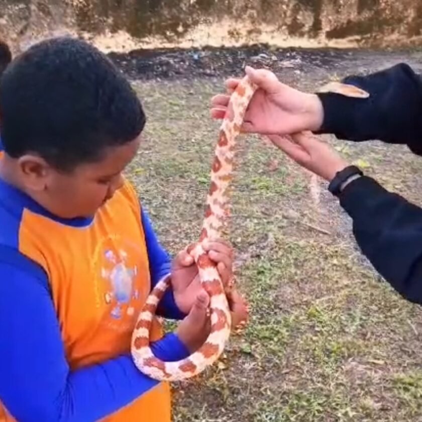 'Tunico': Batalhão da PM de Ouro Preto, Mariana e Itabirito tem serpente como mascote