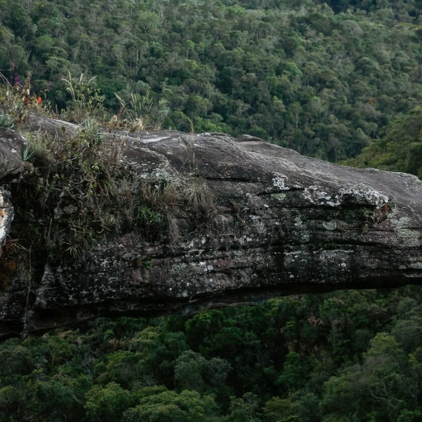 Parque das Andorinhas tem quase 800 kg de materiais reciclados coletados desde maio de 2022