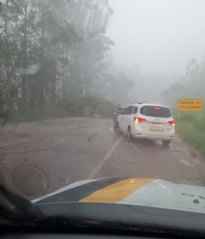 Árvore cai sobre carro na BR-356 em Ouro Preto