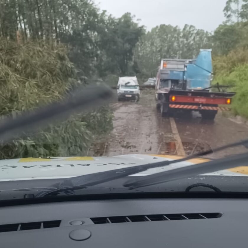 Árvore cai sobre carro na BR-356 em Ouro Preto