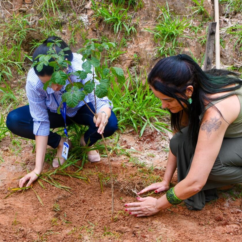 Prefeitura de Itabirito plantará 1.000 mudas em virada ambiental