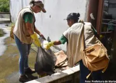 Combate à dengue