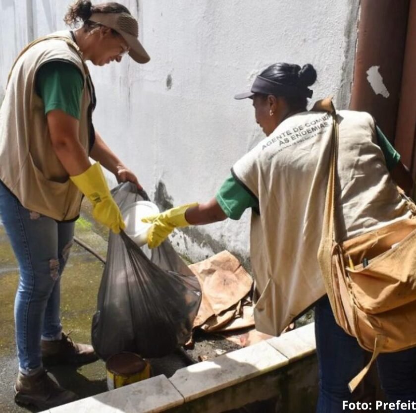 Combate à dengue