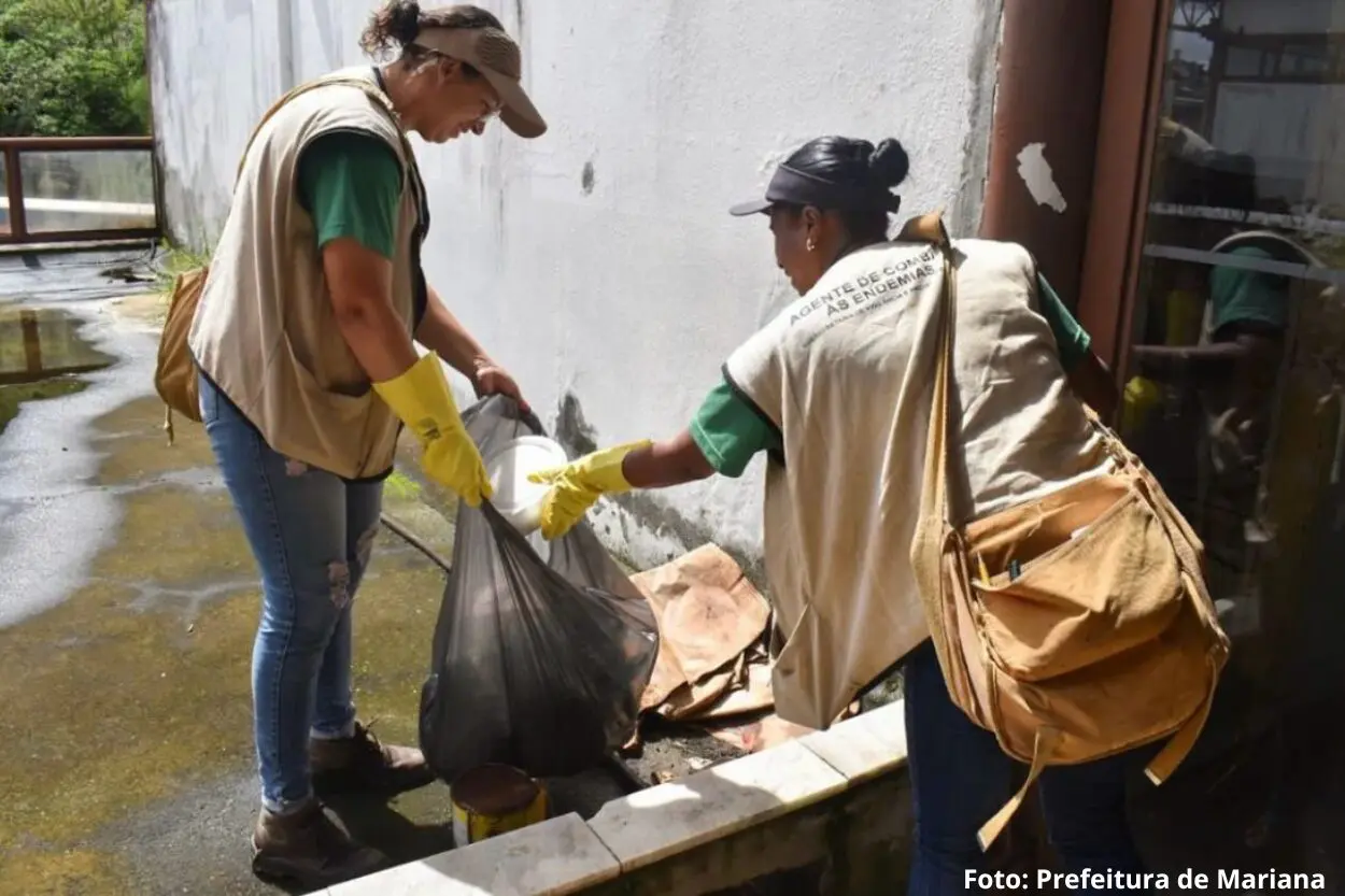 Combate à dengue