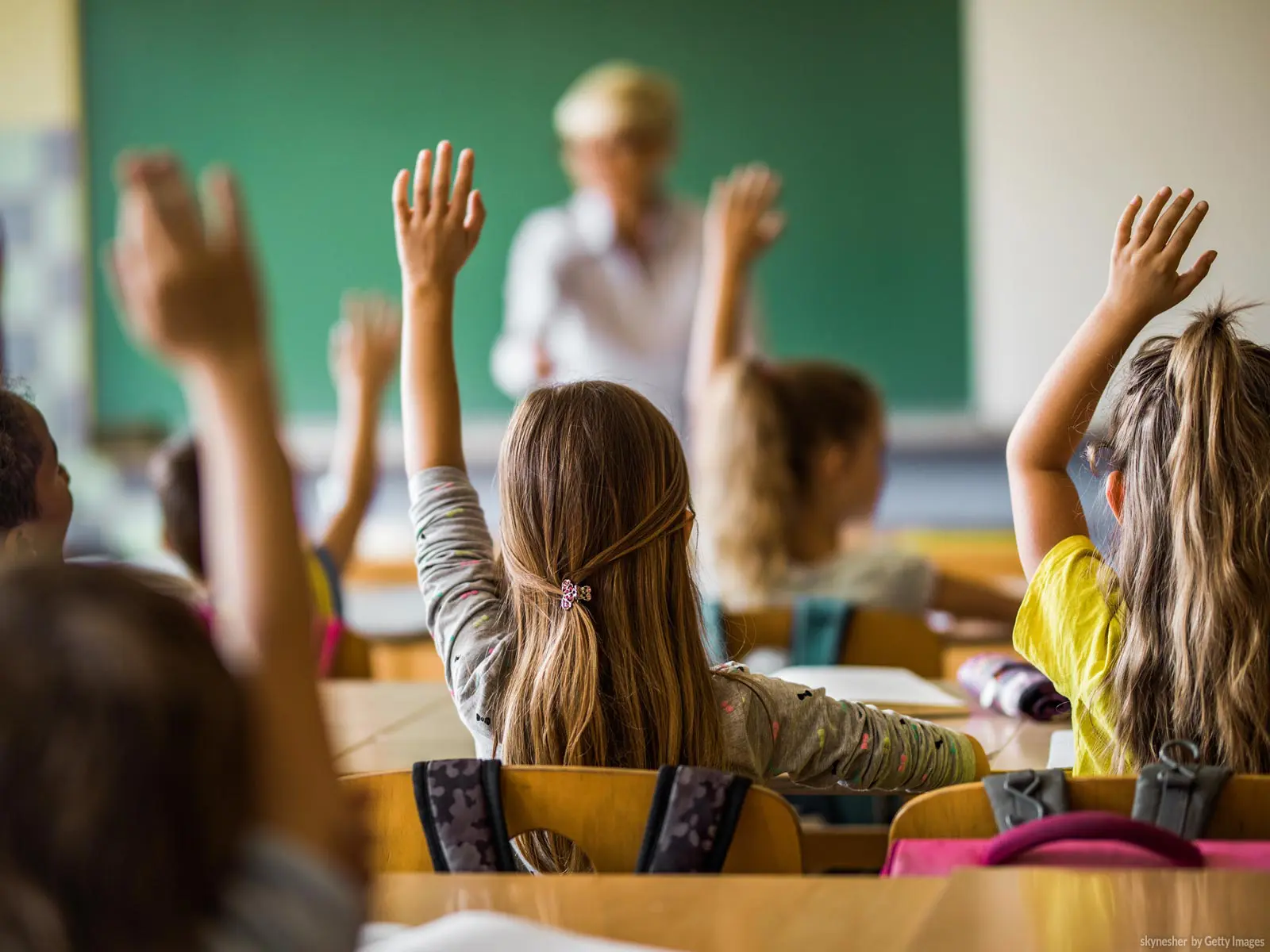 Coluna NDCon- Como realizar as compras escolares de início de ano sem ficar no prejuízo