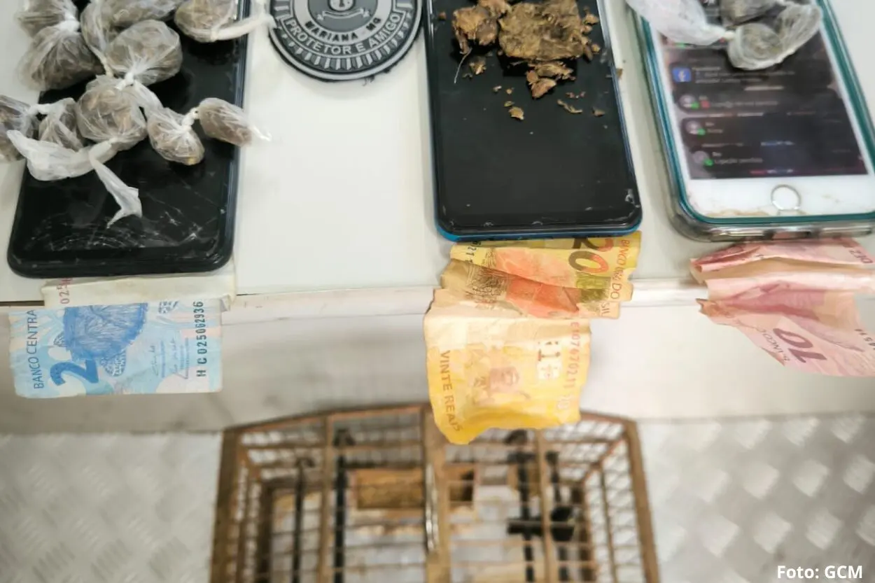 Apreensão de drogas, celulares e animal silvestre em Mariana