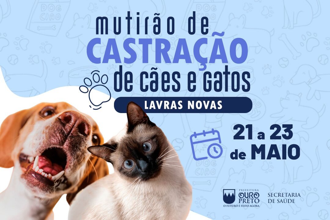 Ouro Preto: Lavras Novas recebe mutirão de castração de cães e gatos