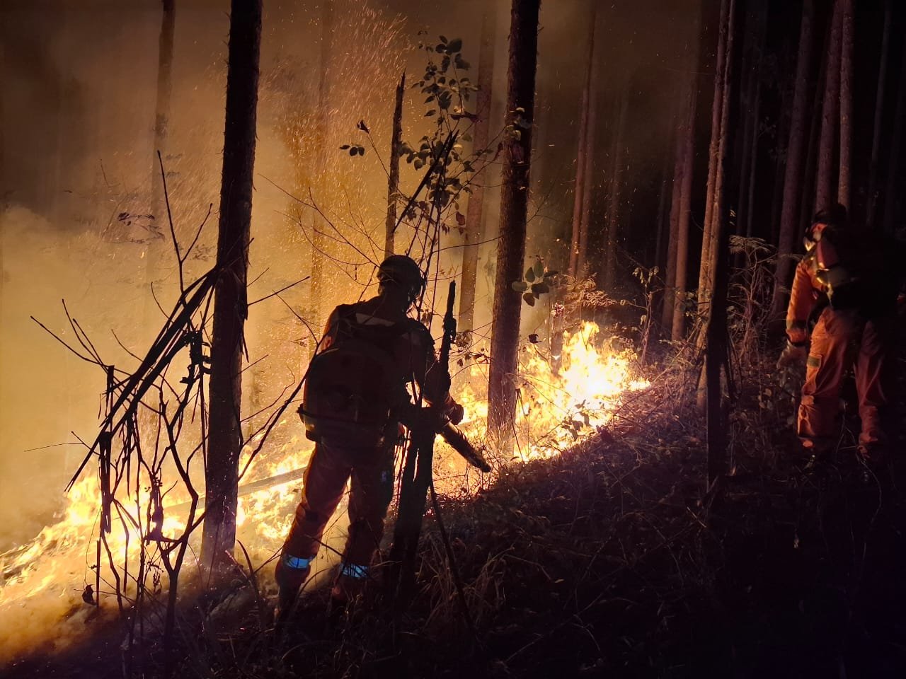 Incêndio de grandes proporções atinge fazenda de plantação de eucalipto