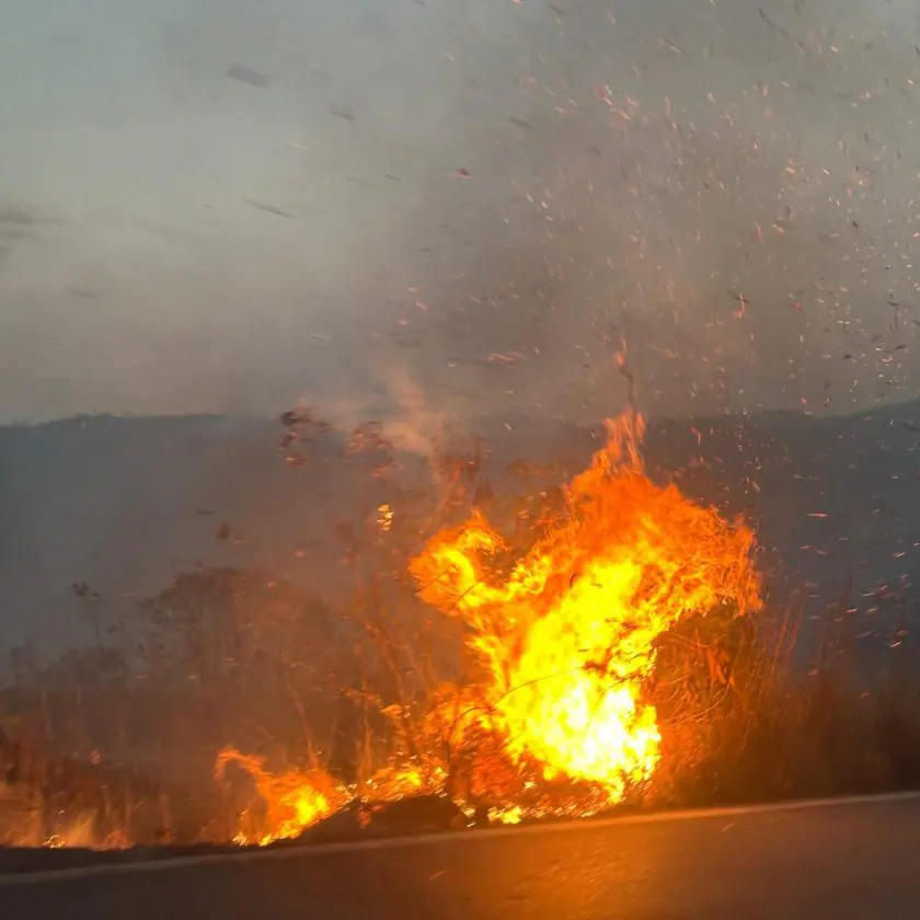 Diversos focos de incêndio são registrados na MG-129 em Ouro Preto