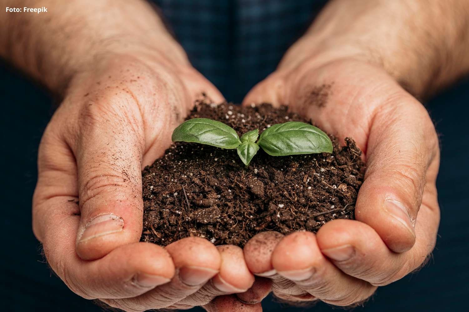 J. Mendes transforma resíduos em compostagem