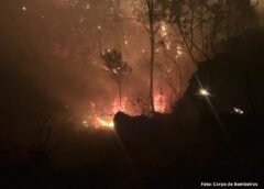 Incêndio causado por capotamento de carro entre Mariana e Ponte Nova