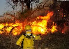 Mariana reforça combate aos incêndios com contratação de 20 brigadistas para o período da seca