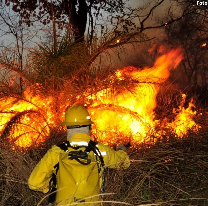 Mariana reforça combate aos incêndios com contratação de 20 brigadistas para o período da seca
