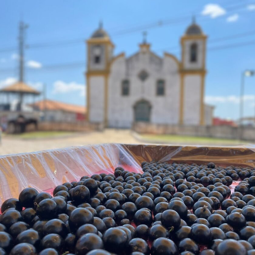 Confira a programação completa da 32ª Festa da Jabuticaba, em Ouro Preto