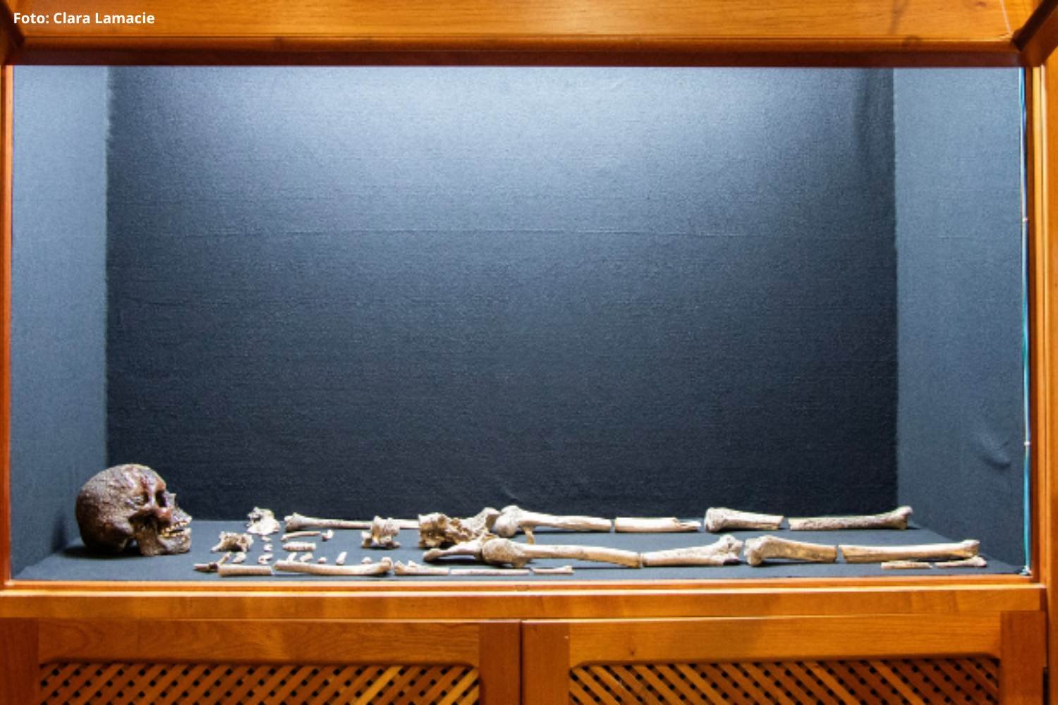 Fóssil humano de mais de 10 mil anos faz parte do acervo do Museu de Ciência e Técnica da UFOP