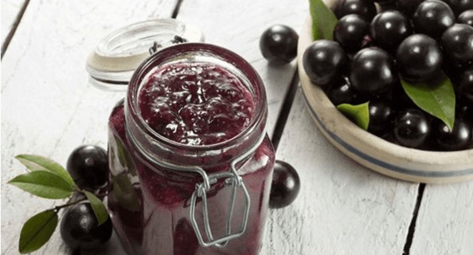 Cachoeira do Campo recebe oficina de produção de Kombucha com Jabuticaba nesta terça (10)