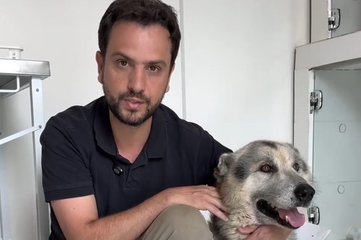 Prefeito de Mariana inicia campanha para adoção de cão resgatado