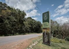 Histórias, Memórias e Mistérios: Livro sobre a Rota Turística Jaguara será lançado em junho de 2025