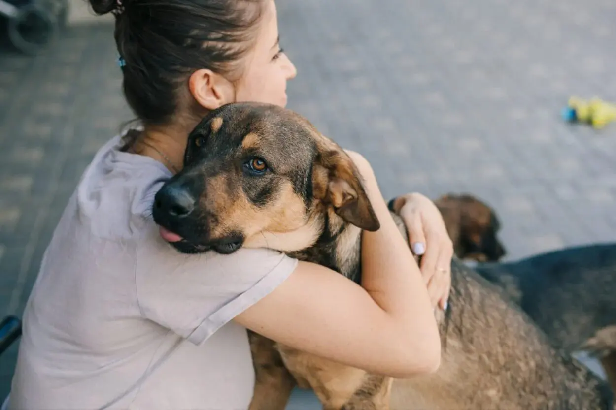 Pets Samba: Bar da Nida, em Ouro Preto, receberá evento em prol da causa animal