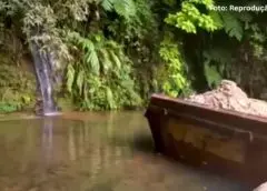 Instituto Habitat denuncia crime ambiental em cachoeira de Mariana