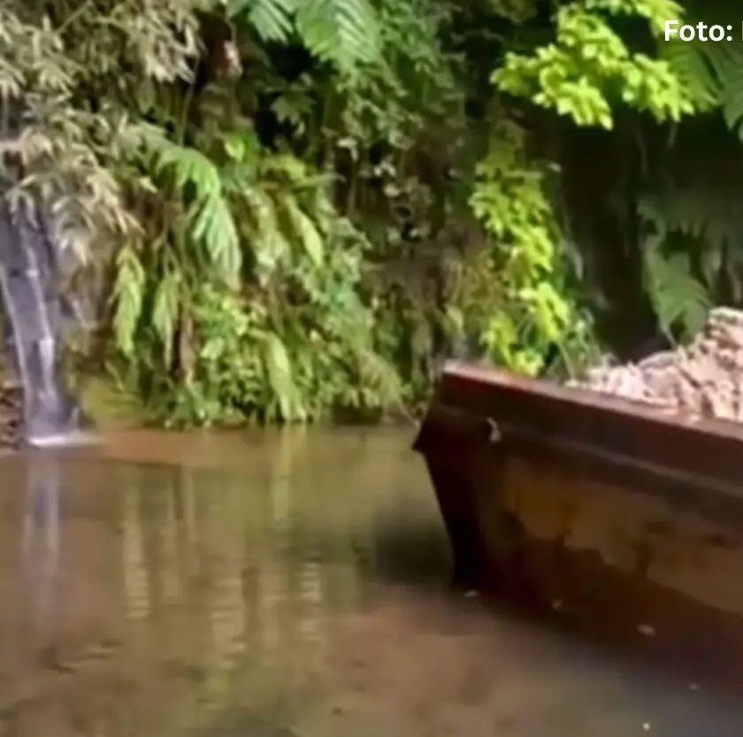 Instituto Habitat denuncia crime ambiental em cachoeira de Mariana