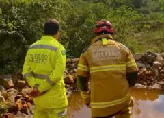 Onça em Ouro Preto: moradores de distrito registram avistamento