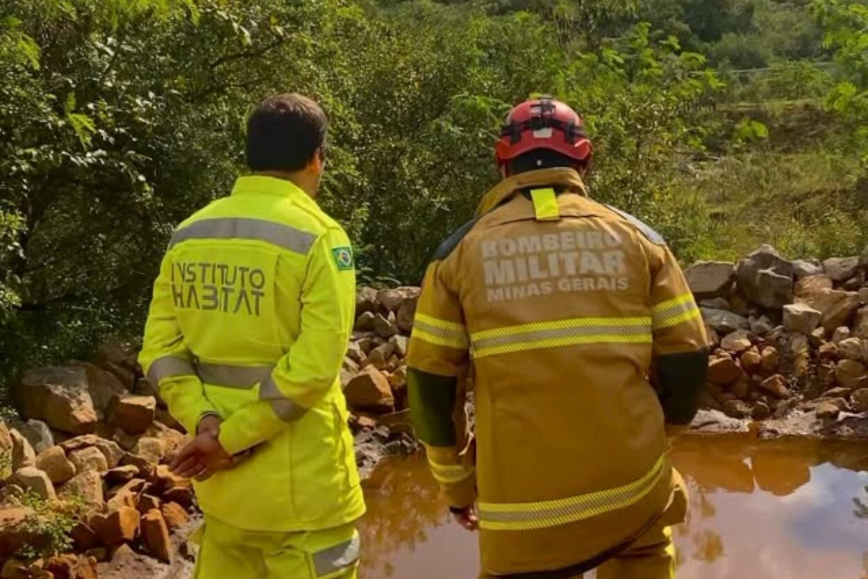 Onça em Ouro Preto: moradores de distrito registram avistamento