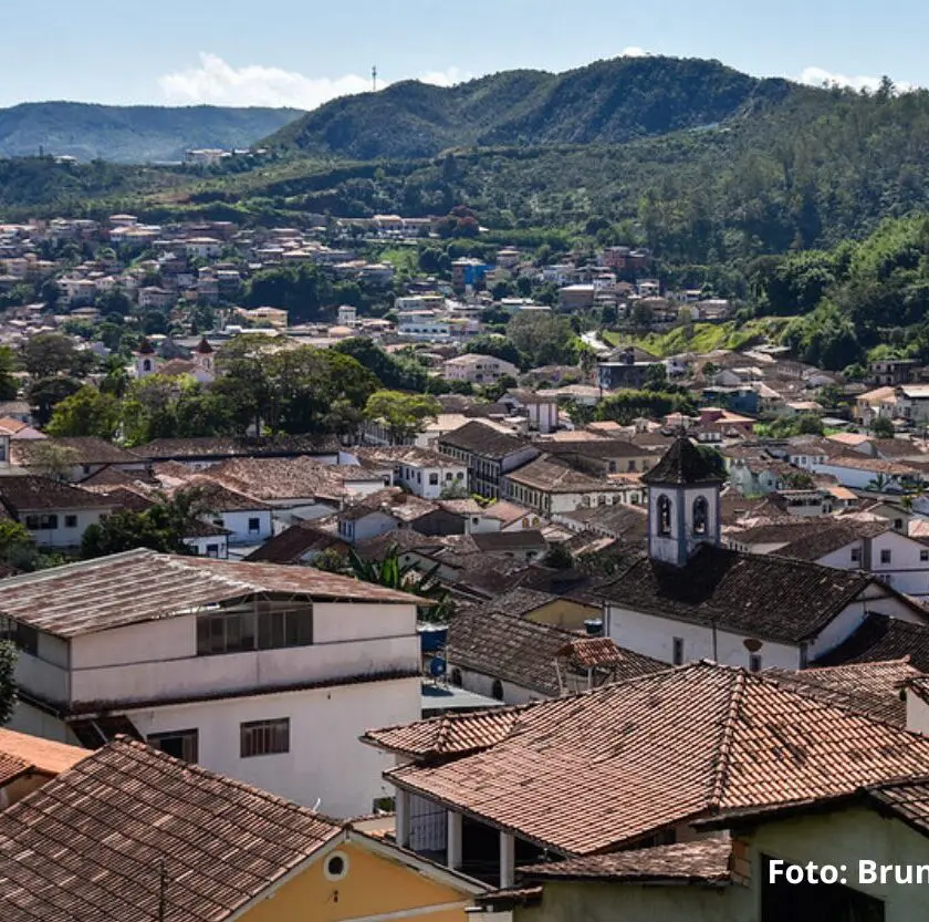 Prefeitura faz alerta após mico ser encontrado morto em Mariana