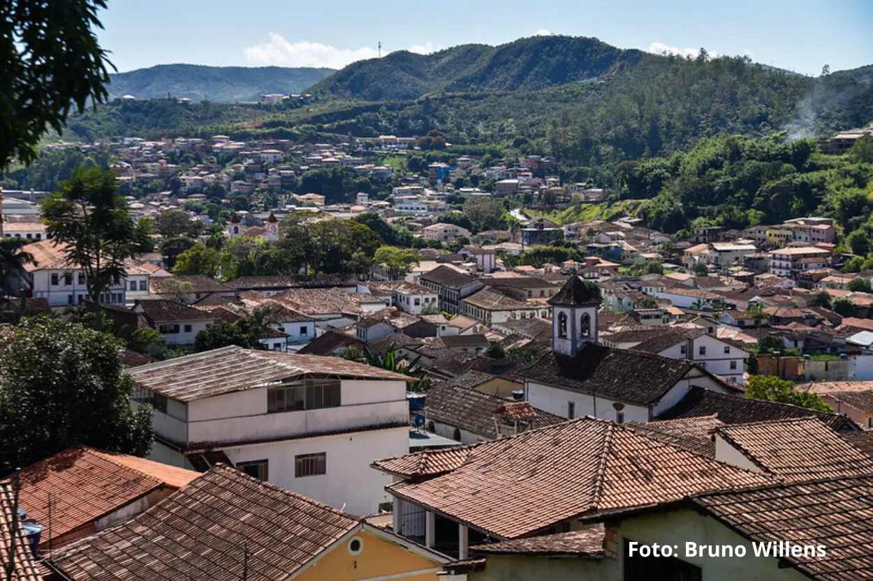 Prefeitura faz alerta após mico ser encontrado morto em Mariana