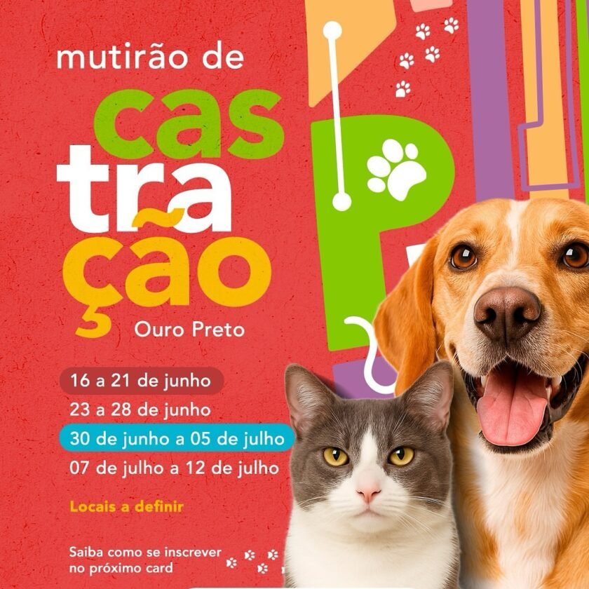 Prefeitura de Ouro Preto abre inscrições para mutirão de castração
