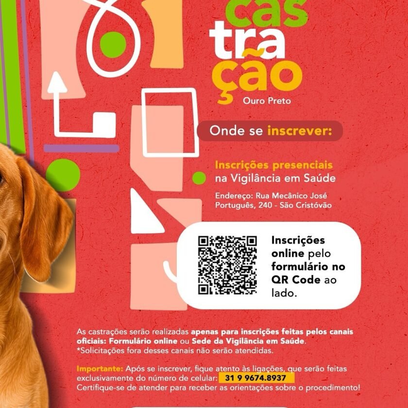 Prefeitura de Ouro Preto abre inscrições para mutirão de castração