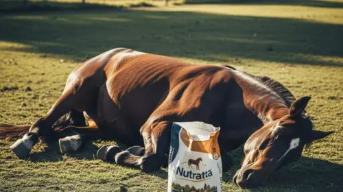 Mariana registra sete mortes de cavalos por ração contaminada