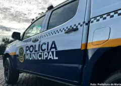 Ocorrências de violência doméstica e maus-tratos a animais são registradas em Mariana