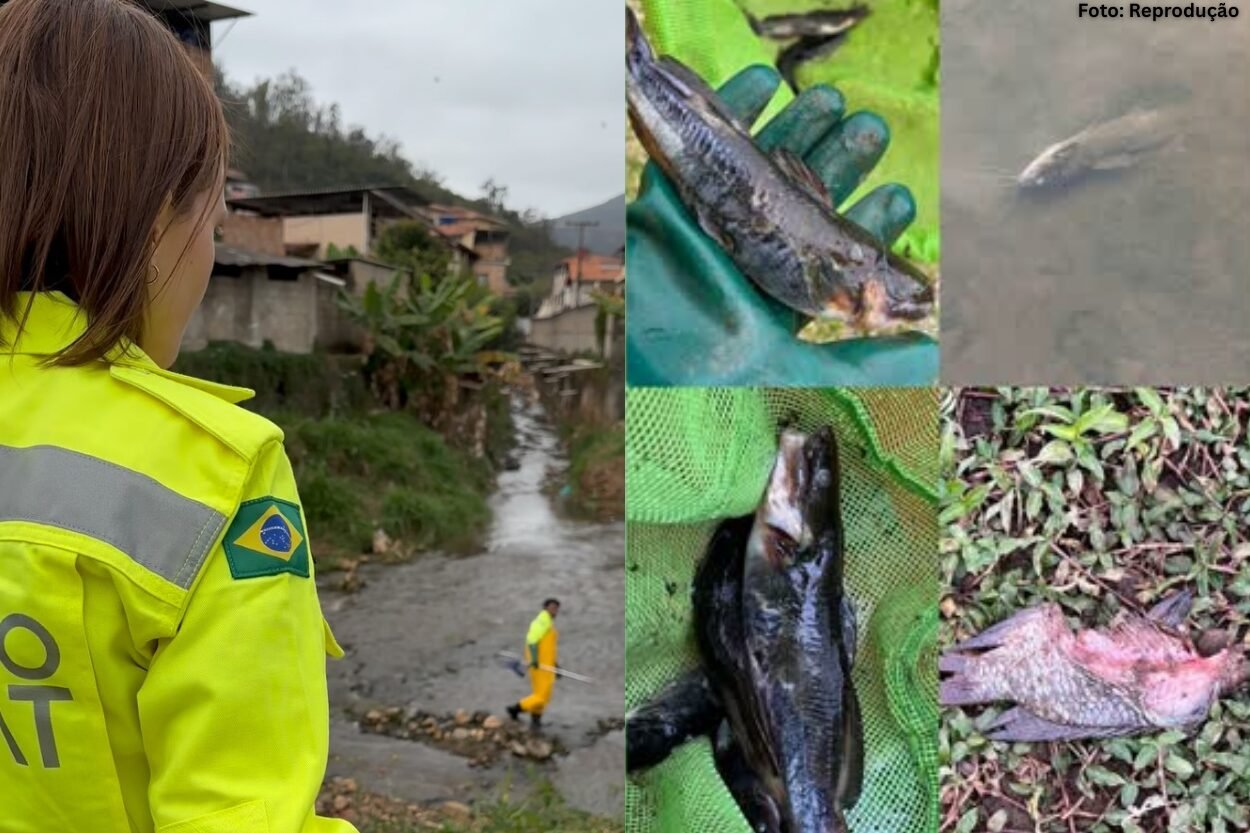 Instituto Habitat resgata fauna após acidente com carreta de soda cáustica