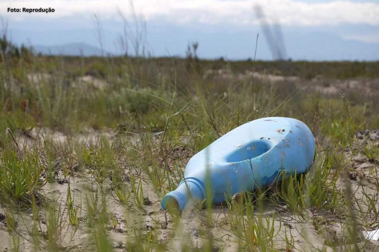 Crânio humano é achado por trabalhador em Ponte Nova