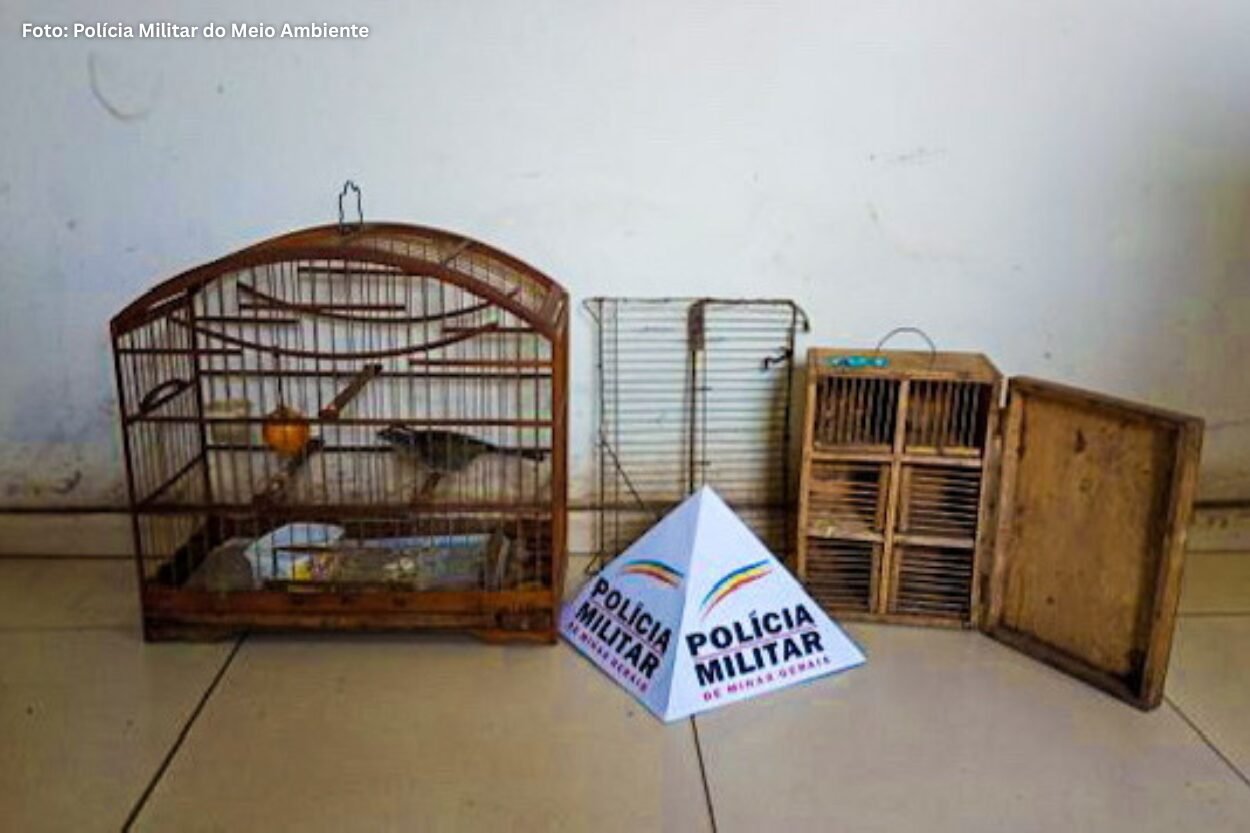 Mariana: Homem é preso em Furquim por caça ilegal e drogas