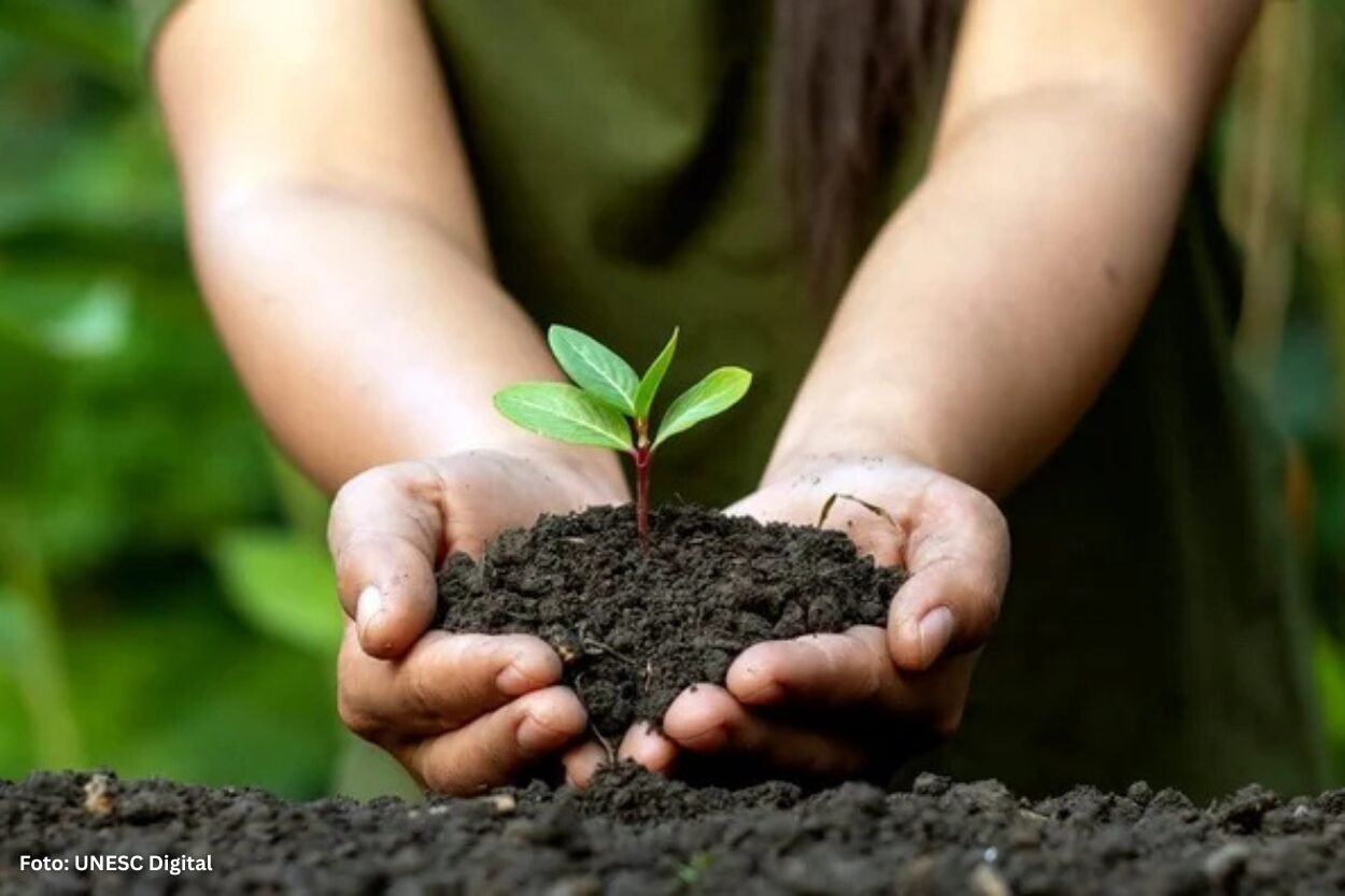 Cemig oferece curso gratuito de empreendedorismo sustentável