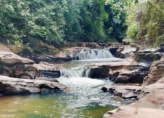 Parque das Andorinhas terá trilhas reestruturadas em março