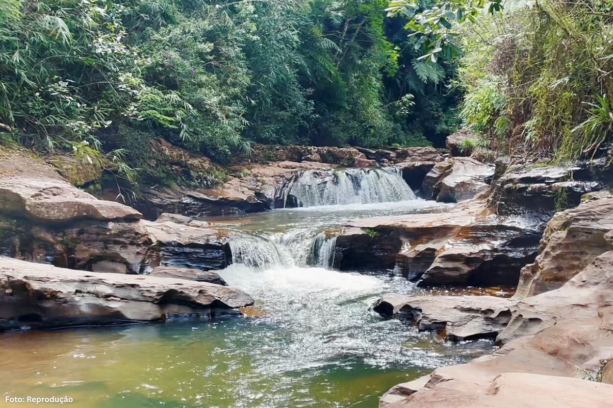 Parque das Andorinhas terá trilhas reestruturadas em março