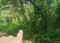 Moradores denunciam venda de lotes em área de preservação na Serrinha, em Mariana