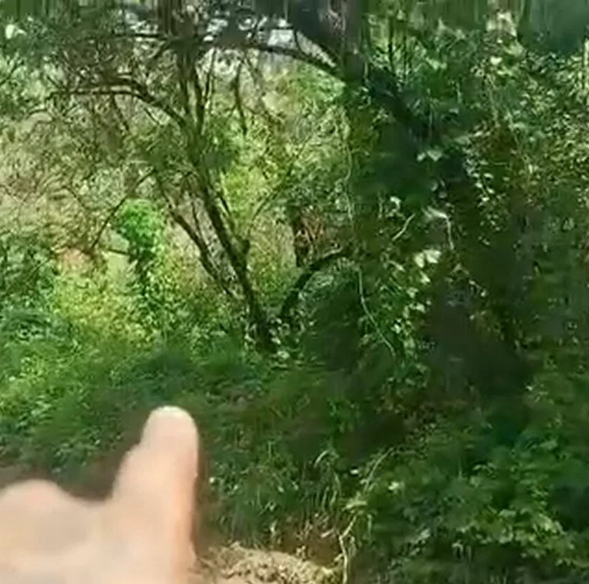 Moradores denunciam venda de lotes em área de preservação na Serrinha, em Mariana