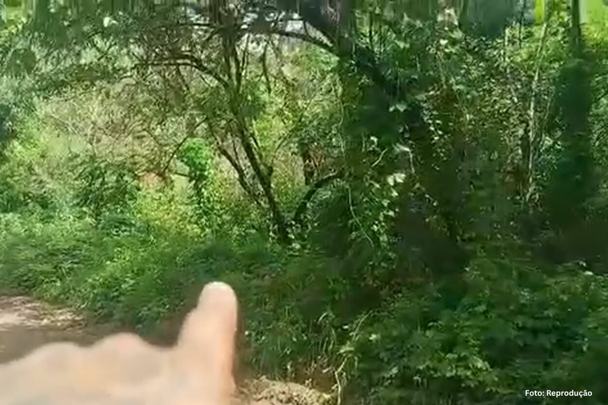 Moradores denunciam venda de lotes em área de preservação na Serrinha, em Mariana