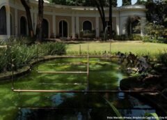 Casa Museu Ema Klabin lança edital da 6ª edição do Jardim Imaginário