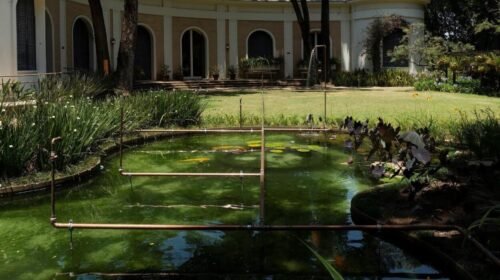 Casa Museu Ema Klabin lança edital da 6ª edição do Jardim Imaginário