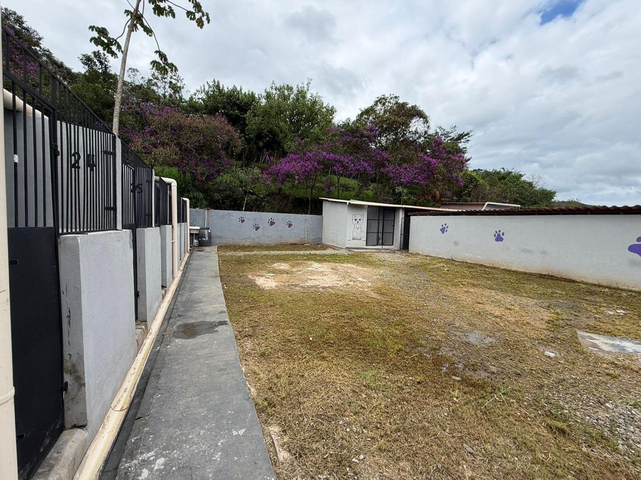 Mariana é referência em política pública de proteção animal