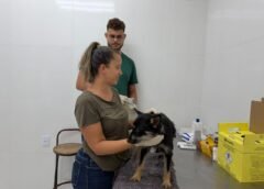 Mariana é referência em política pública de proteção animal